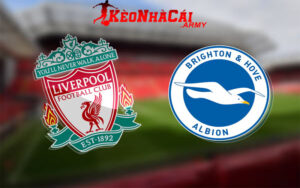 Soi Kèo Liverpool vs Brighton - Vòng 10 NHA 22h00 2/11