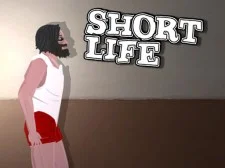 Short Life